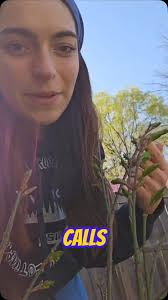 NCSY Pulse: Powered by NCSY Alumni