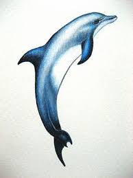 Pin Di Carlo Su Dolphins Tatuaggio Di Delfini Schizzi Di Animali Delfino Arte