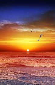 To do so, the hotel provides the best in services and amenities. Sunset Beach Recropped Naturbilder Landschaftsbilder Sonnenuntergange