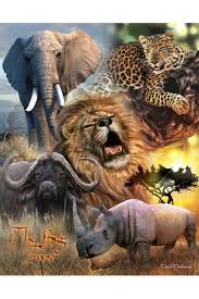 Big Five Dieren Mooi Olifanten Wilde Dieren
