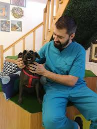 Cabinet veterinar cu experienta in domeniu de peste 16. Clinica Si Cabinet Veterinar Ploiesti Cuppy Vet