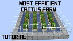 It makes the gathering process quick so you don't waste any. How To Build An Efficient Cactus Farm In Minecraft Youtube