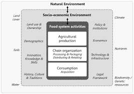 Sustainability Free Full Text Potentials And Limitations