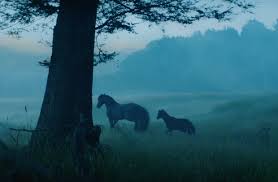 Born in bergsjon, a suburb north of gothenburg, marcus knew from a very early age that he wanted nothing else but to direct moving images. Marcus Soderlund Embarks On An Epic Journey For Lloyds Bank Lbbonline