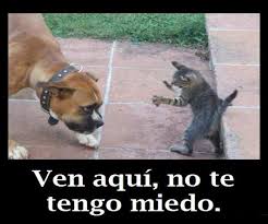 Resultado de imagen para imagenes