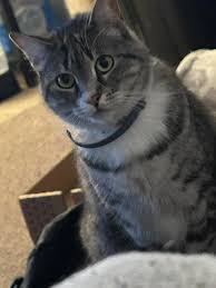 Terrence Ring (@terrenceringtrucking) • Instagram photos and videos