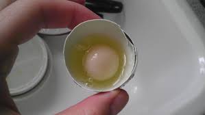 Are you one of the people that swears by egg whites or avoids eggs altogether? White Egg Yolk Backyard Chickens Learn How To Raise Chickens