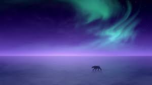 Aurora Boreale Inverno Hd Sfondo Del Desktop Widescreen Alta Definizione Fullscreen Scarica questo vettore gratis su sfondo colorato aurora boreale e scopri oltre 9 milioni di risorse grafiche professionali su freepik.