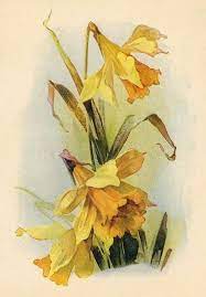 Bumble Button Daffodils And Vintage Calendar To Welcome March Flower Art Floral Painting Daffodils