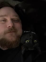 Introduction as a purple alley cat