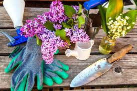What is the best homemade squirrel repellent? 7 Plants That May Help Repel Squirrels Terminix