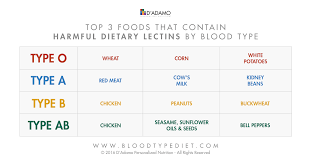 Blood Type Diet And Exercise Back To Balance