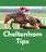 Profile picture for Cheltenham Tips