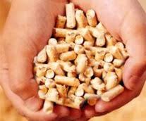 Amazon best sellers our most popular products based on sales. Corn Pellets