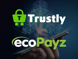 Trustly provides its service through paypal and transferwise. Trustly Vs Ecopayz Which Is The Better E Wallet For You
