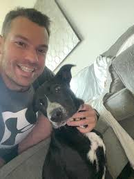 This is not Henry, this little one's owner has been found.