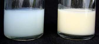 Susu ini lebih pekat serta mengandungi lemak dan kalori yang tinggi. Susu Ibu Wikipedia Bahasa Melayu Ensiklopedia Bebas