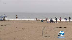 We've got all the cocktail essentials you'll need to enjoy summertime at the beach or by the pool. Newport Beach News Abc7 San Francisco