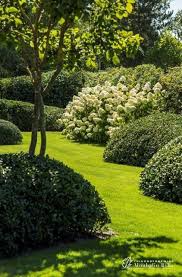 Landschaftsgarten Von Monbaliu Garden Company Landlicher Garten Mit Nebengeb Landschaftsg Green Backyard Front Yard Landscaping Garden Landscape Design