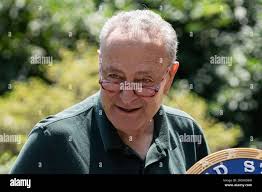 Bennett park new york hi-res stock photography and images