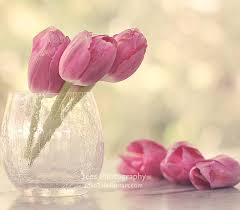 We did not find results for: Missing You Already Lovely Vase Soft Glass I Miss You Flowers Tulips Hd Wallpaper Peakpx