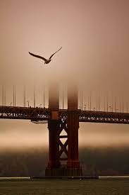 (it) is a golden handcuff with the key thrown away. 790 Golden Gate Bridge Sf Ideas Golden Gate Bridge Golden Gate San Francisco