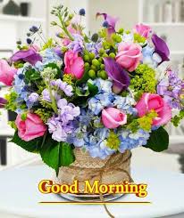 Use them as your computer background or phone lock screen. Good Morning Images For Whatsapp Fresh Flowers Arrangements Flower Arrangements Floral Arrangements