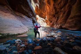 This is the wall street. Hiking The Virgin River Through Zion National Park Narrows