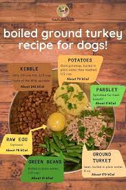 With these recipes right here. Ground Turkey Recipe For Diabetic Dog Image Of Food Recipe