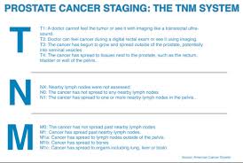 Prostate Cancer The Tnm Staging System Columbus Cyberknife