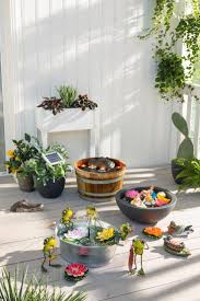 Geheimtipp Fur Garten Und Balkon Der Miniteich Terrassenbrunnen Wasserpflanzen Garten