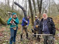 Vashon Bird Alliance Work Party