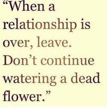 When A Relationship Is Over Leave Don T Continue Watering A Dead Flower Meme On Me Me