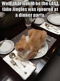 Well That Would Be The Last Time Jingles Was Ignored At A Dinner Party In 2020 Funny Cat Memes Cat Memes Funny Cats