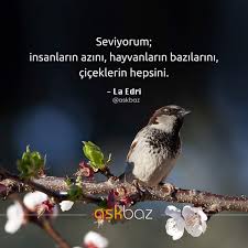 Bi Kuple Edebiyat Sozler Cool Words Poems Ve Quotes