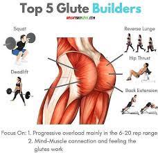 The superficial muscles in the gluteal region consist of the three glutei and the tensor fascia lata. Pin On Glute Builder