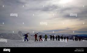 Image result for Hakkoda Walk