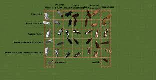 Differrent Minecraft Horse Breeds Minecraft Horse