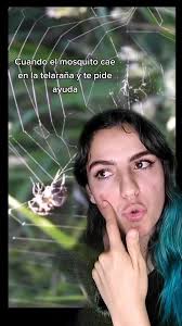 La Venganza Del Mosquito