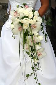 We did not find results for: Brautstrauss Ideen Und Blumenfachgeschaft In Dresden Und Sachsen