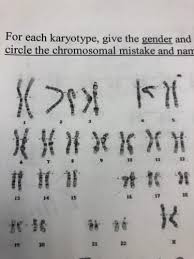 Just like students sharing markers, atoms sometimes share or swap electrons. Karyotyping Biology Quizlet