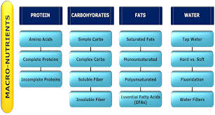 Next, let's look at the relationship between nutrient density and each of the macros. Exploring Essential Macro And Micro Nutrients The Cat S Meow