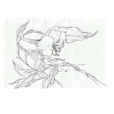 작은 꽃 스케치 어느새 작은 png 및 벡터 에 대한 무료 다운로드 flowers tapestry art
