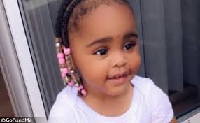 2020 Dog Bite Fatality: Family Pit Bull Kills 2-Year Old Child in  Portsmouth, Virginia