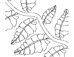 Coloring pages are a great way to end a sunday school lesson. Vine With Leaves Coloring Page