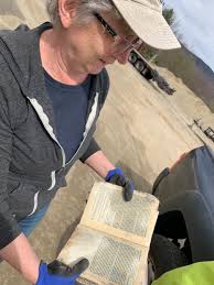 Waterbury Greens Up — Waterbury Roundabout