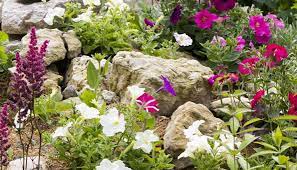 Bevor du pflasterst kannst du die gartenwege erstmal mit rindenmulch legen zum testen. Steingarten Anlegen Anleitung Und Tipps Fur Richtige Steine Und Pflanzen