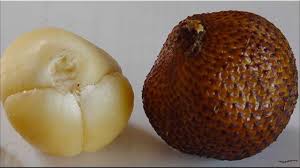 Dalam ilmu biologi, buah adalah organ pada tumbuhan berbunga yang menjadi perkembangan lanjutan dari bakal buah atau ovarium, biasanya berbiji. Gambar Buah Salak Bahasa Arab Salak Buah Nutrisi Gambar