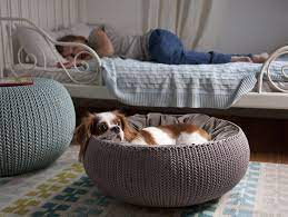 The label on the top of the bed is the first thing the dog chews! Knit By Curver Pet Beds And Furniture