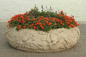 If starting impatiens from seed, sow indoors 8 to 10 weeks prior to planting outdoors after the last frost. Growing Impatiens Plants Vibrant Colors For Shade Pots And Borders